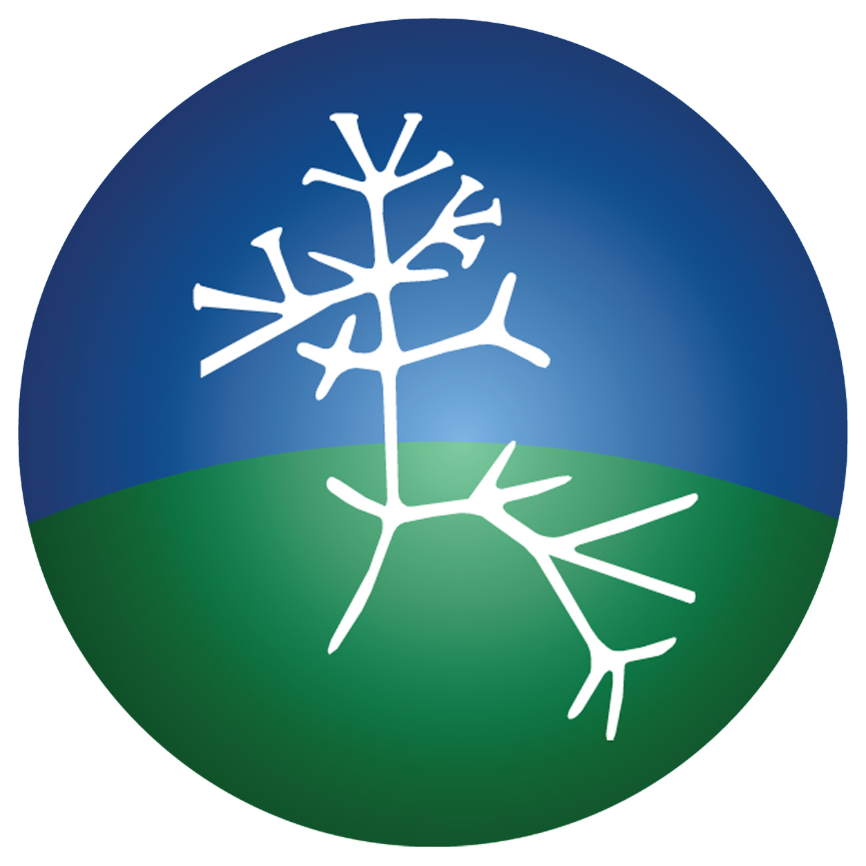 NCSE logo