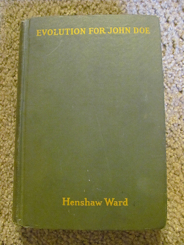 Photograph courtesy of Michael Barton’s The Dispersal of Darwin blog, https://thedispersalofdarwin.wordpress.com/.