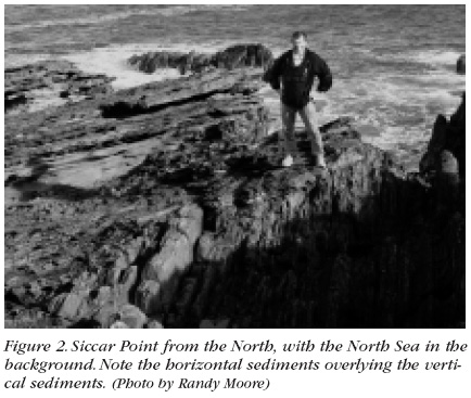 Figure 2: Siccar Point from the North, with the North Sea in the background. Note the horizontal sediments overlying the vertical sediments. (Photo by Randy Moore)