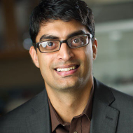 Ramesh Laungani.