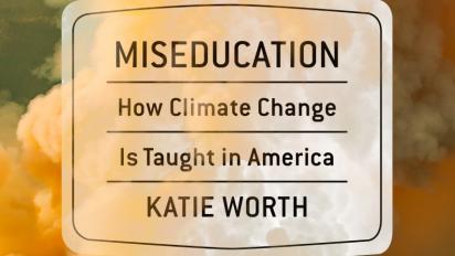 Miseducation book cover