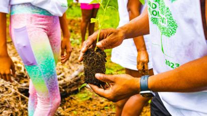 Students planting.
