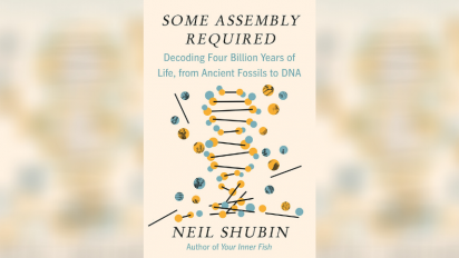 Some Assembly Required