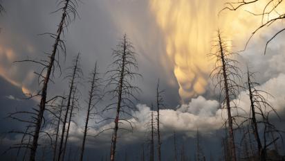 Mammatus clouds form over the Hayman BurnScar in the Colorado Rocky Mountains.