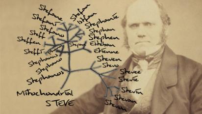 Project Steve graphic.