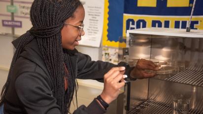 Student engaging in a lab activity.