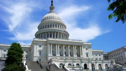 The United States Capitol building.