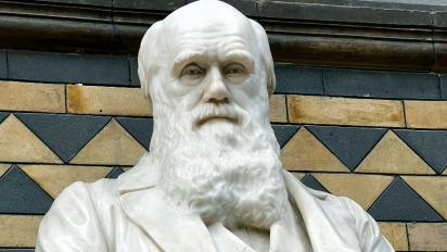 Statue of Charles Darwin.