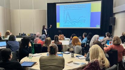 NCSE's Wendy Johnson leads a session on the tool DataWISE.