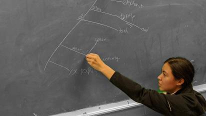 A student creating a phylogentic tree of MMM combatants.