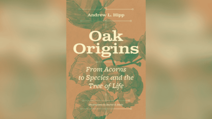 Oak Origins book cover.
