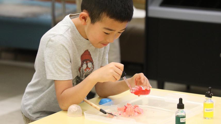 A boy engages in an experiment.