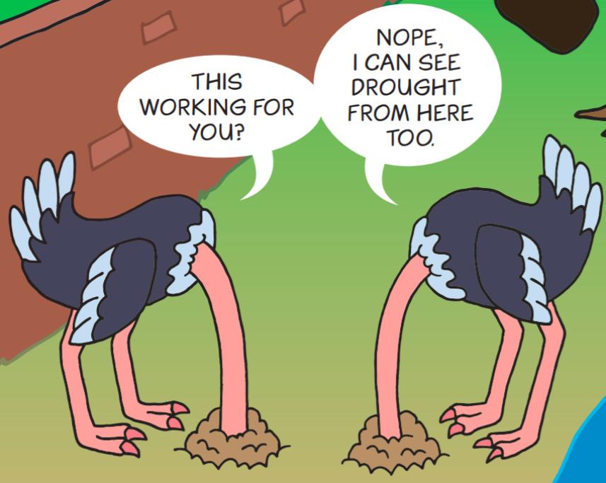 A  cartoon of two ostriches with heads buried in the sand.