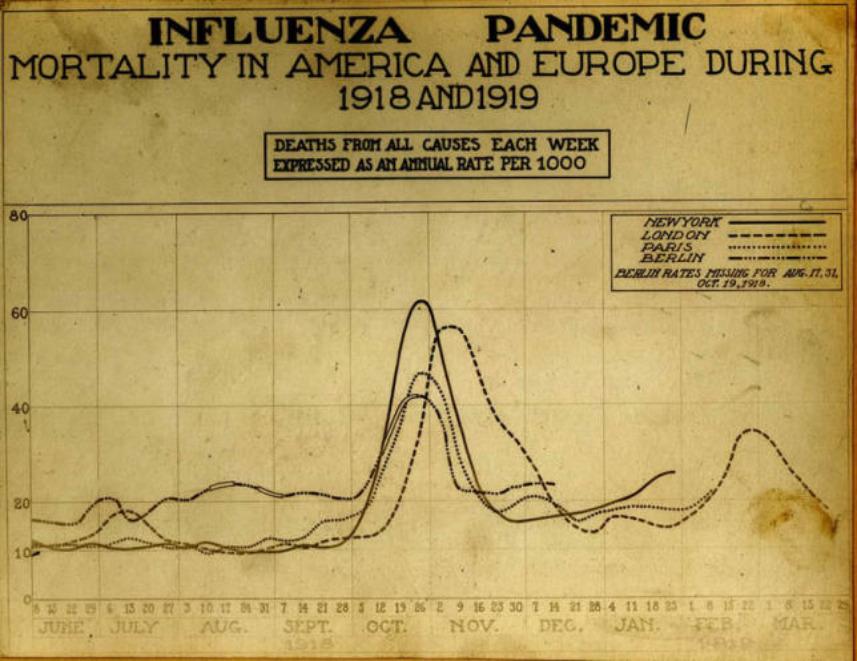 1918-1919 flu mortality chart