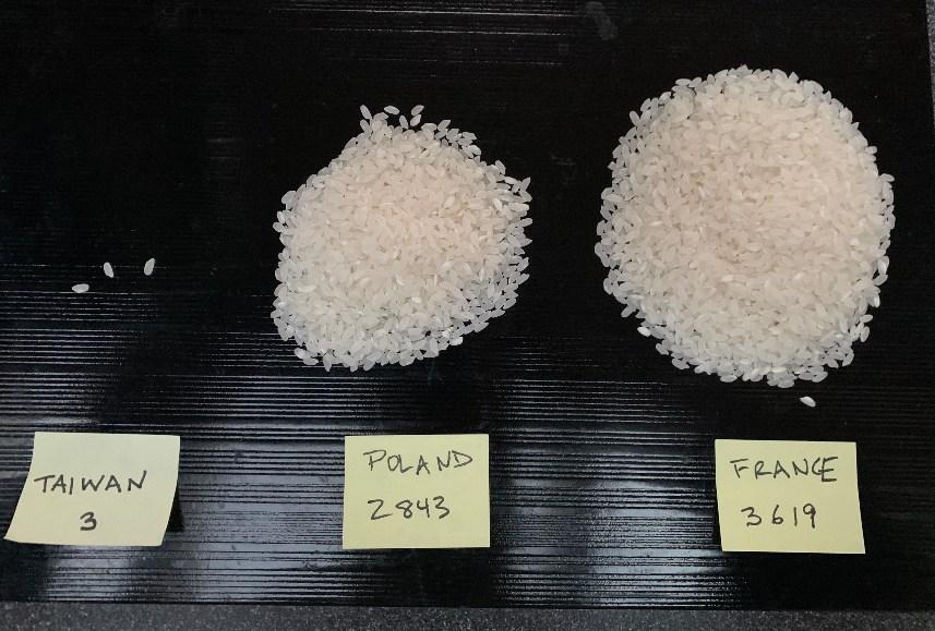 Taiwan, France, Poland