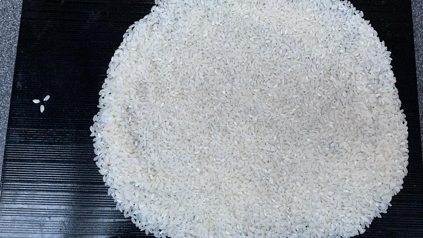 Taiwan v. North Dakota