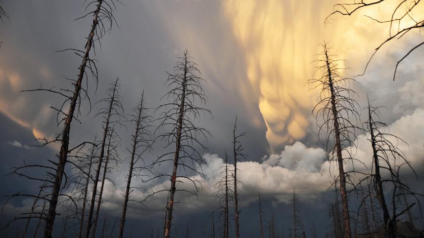 Mammatus clouds form over the Hayman BurnScar in the Colorado Rocky Mountains.