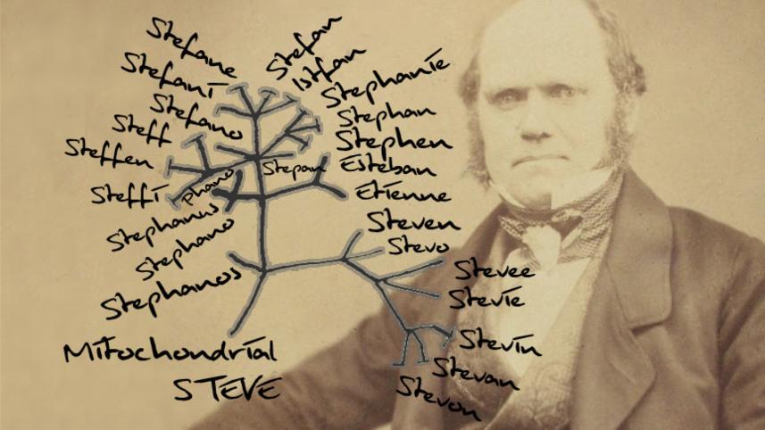 Project Steve graphic.