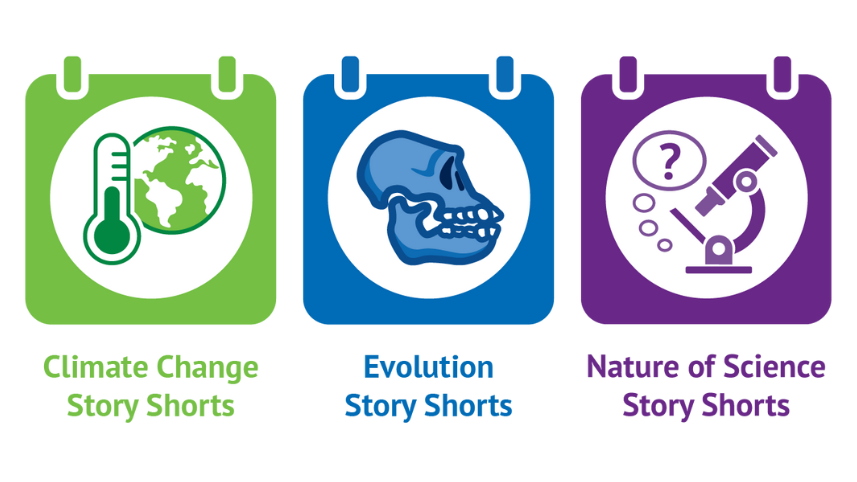 NCSE Story Shorts icon.