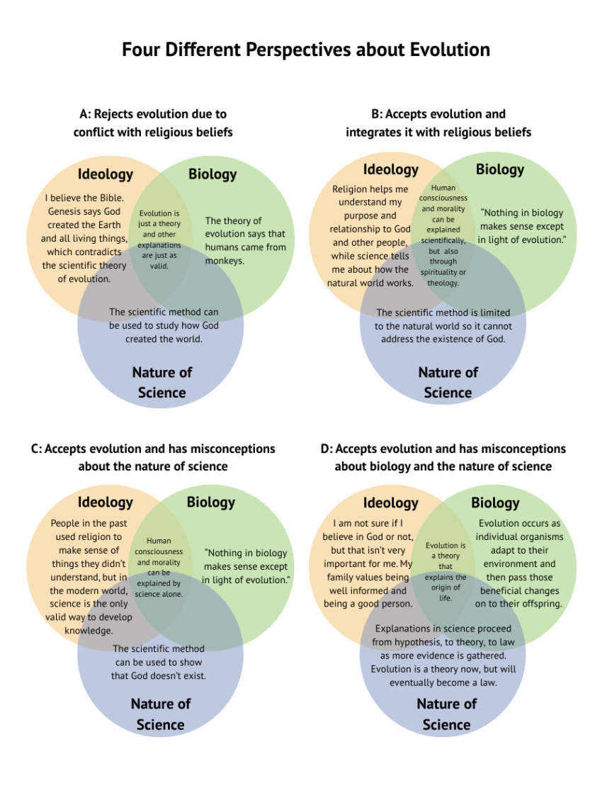 Evolution Perspectives infographic.