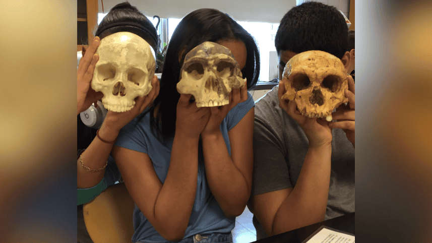 High school tudents with hominid skulls.