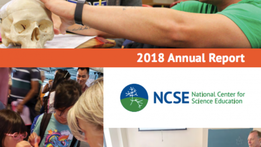 NCSE 2018 Annual Report cover