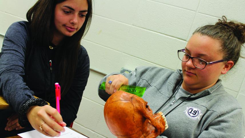 students with fossils
