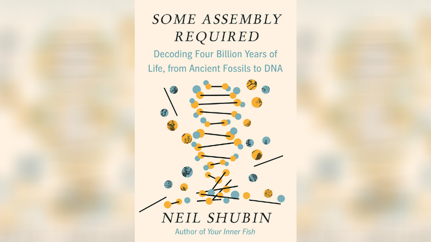 Some Assembly Required