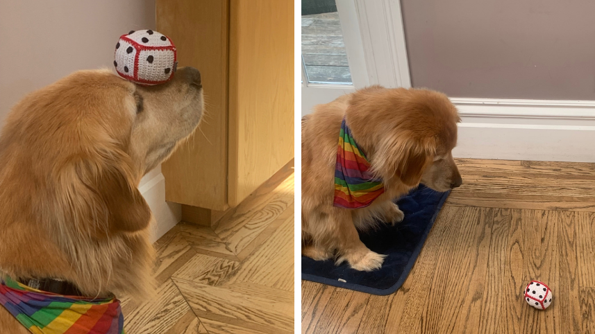 Buster rolling dice.