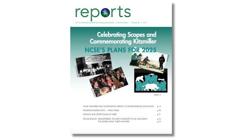 RNCSE 45.1 cover