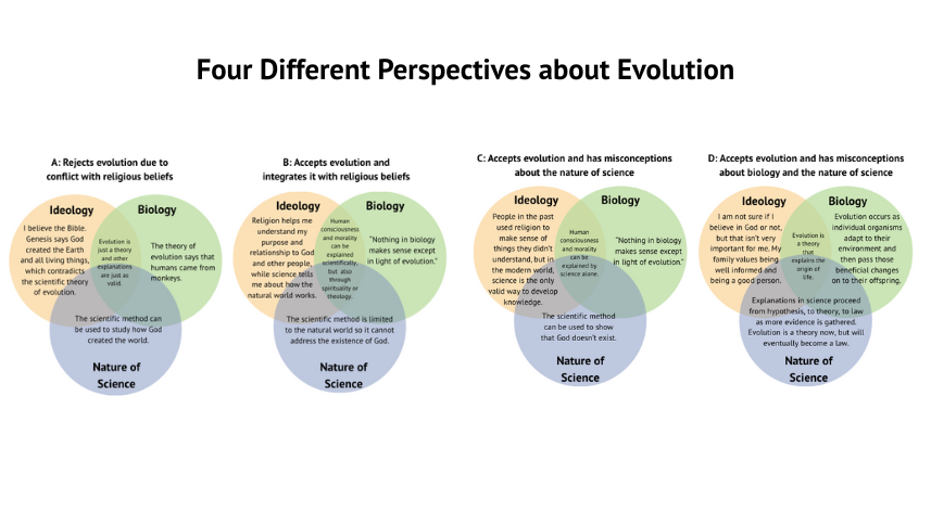 Four diffeent perspectives about evolution infographic.