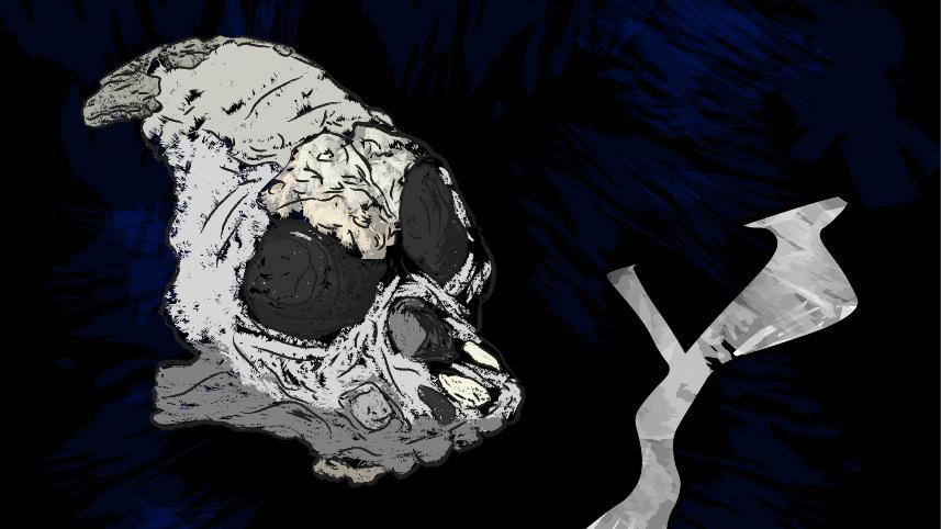 Homo naledi skull and Rising Star cave.